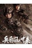 兵自風中來(2026)(歐豪 黃景瑜)(高清6片裝)