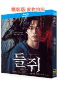 鼠惑(2026)(柳俊烈 薛景求)(犯罪懸疑劇)(2BD)(25G藍光)