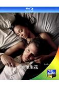 妙筆生花/文字欲(2012)(愛情片)(25G藍光精裝版)
