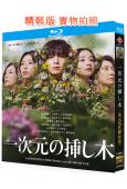 繡球花之下/一次元的扦插/識骨尋蹤(日版)(2026)(山田涼介)(2BD)(25G藍光)