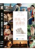 伴我一生,感謝你/心犬相隨(2026)(台灣院線電影)(高清獨家版)