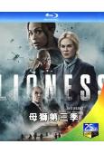 (預售09.20)母獅 第三季(2026)(妮可·基德曼)(...