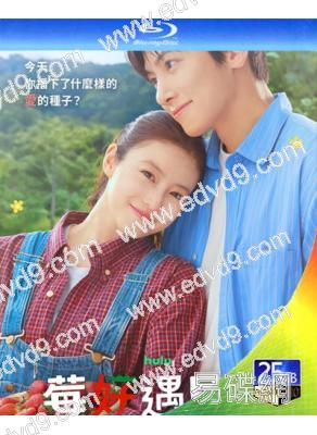 (預售11.09)莓好遇見你/愛上草莓的季節(2026)(池昌旭  今田美櫻)(2BD)(25G藍光)