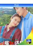 (預售11.09)莓好遇見你/愛上草莓的季節(2026)(池...