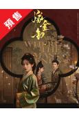 (預售11.18)嫁金釵(2026)(田曦薇 閆桉)(高清6...