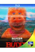 逃出布迪秀(2026)(熱門驚悚片)(25G藍光)