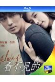 看不見的愛/只有你(2011)(蘇志燮 孝周)(韓國經典愛情片TOP18)(25G藍光)